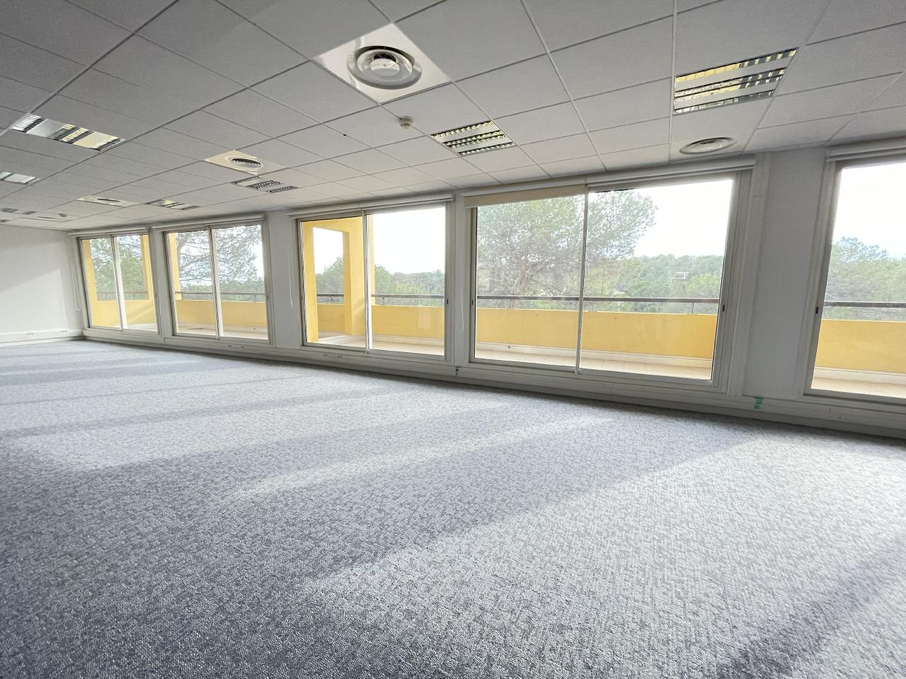 Bureau Sophia Antipolis 2865m² Location bureau Sophia Antipolis Alpes-Maritimes OLBUR2114891 13